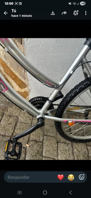 Bicicleta de montaña plateada