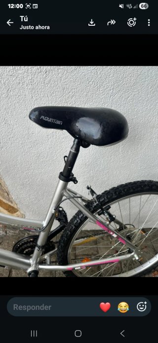 Bicicleta de montaña plateada