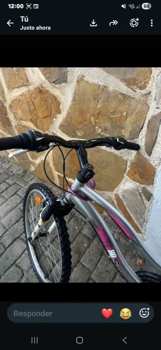 Bicicleta de montaña plateada