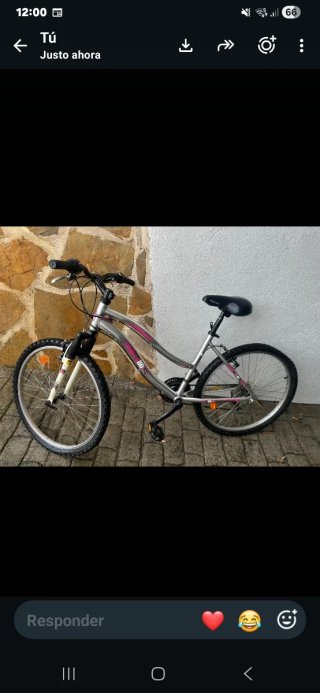 Bicicleta de montaña plateada