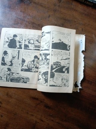 Cómic "Pánico"