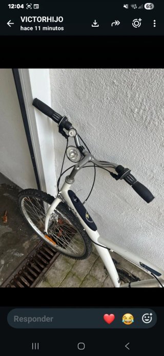 Bicicleta blanca