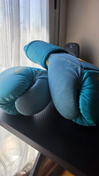 Guantes de Boxeo Hayabusa T3