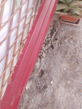 Chapa Sandwich Panel Rojo y blanco 4.5 metros