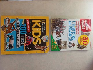 Lote de cómics y revistas en francés Okapi Ariol