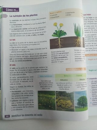 CIENCIAS DE LA NATURALEZA 5. Vicens vives