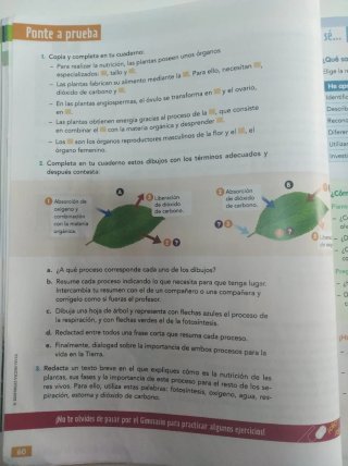 CIENCIAS DE LA NATURALEZA 5. Vicens vives