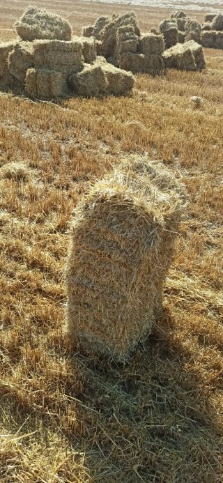 Paquetes Pequeños Paja Trigo, Avena y Cebada