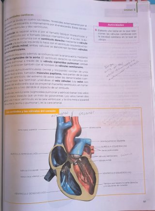 Anatomía aplicada, 1 Bachillerato