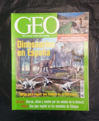 Lote revistas GEO