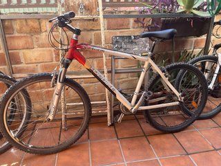 Bicicleta de montaña Perform 500