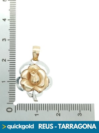 035-1057 Colgante Oro 18K Rosa