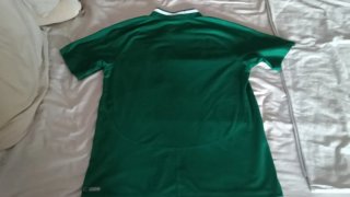 Camiseta Rugby Irlanda Puma O2 Talla L