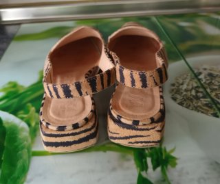 Zapatos destalonados piel Wonders