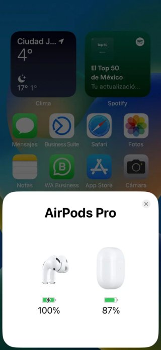 Airpods Pro 2ª Gen Bianchi