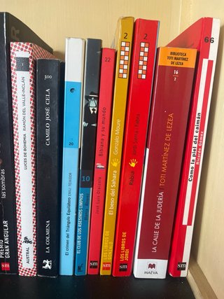 Se regalan libros juveniles