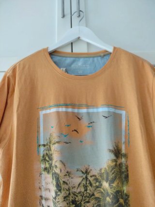 Camiseta Sfera Hombre Talla XL Mostaza