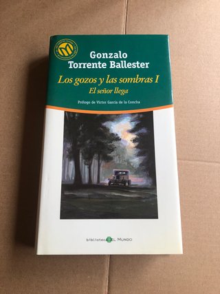 Los gozos y las sombras I , El señor llega