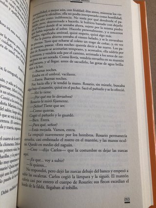 Los gozos y las sombras I , El señor llega