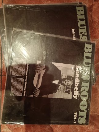 LP Blues Roots