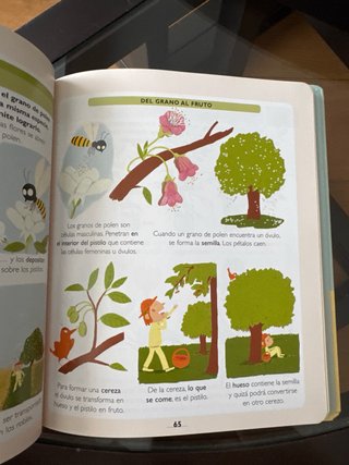 Mi primer Larousse de ciencias