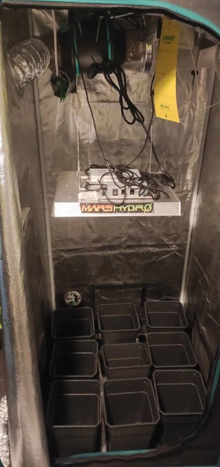 Tienda Cultivo Mars Hydro + Lumatek