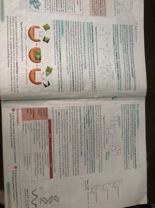Biologia, geologia y ciencias ambientales, 1 bachi