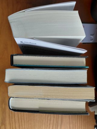 Lote Narrativa Actual (5 libros) - Muy buen estado