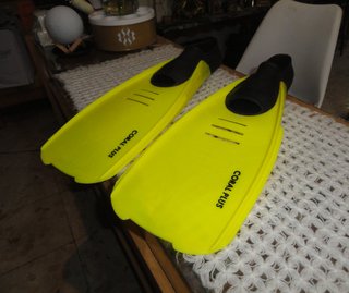Aletas de buceo Coral Plus Talla 45/47