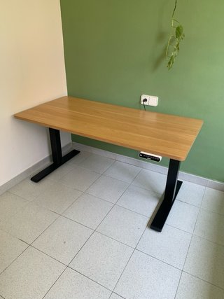 Escritorio elevable FlexiSpot 140x70 eléctrico