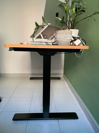 Escritorio elevable FlexiSpot 140x70 eléctrico