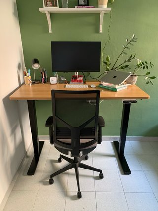 Escritorio elevable FlexiSpot 140x70 eléctrico