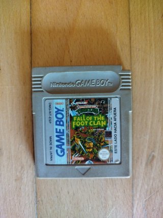 Teenage Mutant Hero Turtles: Fall of the Foot Clan
