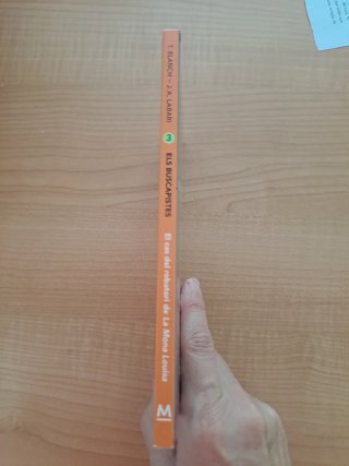 El cas del robatori de la Mona Louisa (Els Busc...