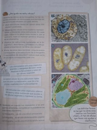 Ciencias Sociales 5.