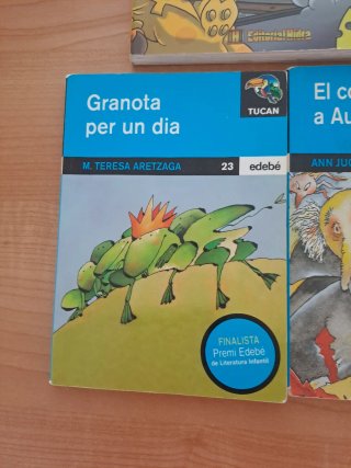 Lot llibres