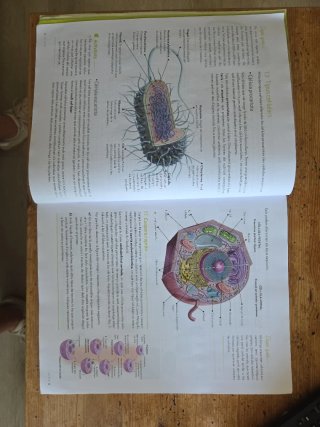 Biologia i Geologia 4t ESO