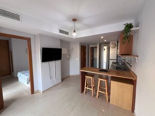 Ático en alquiler en Carolinas Altas en Alicante