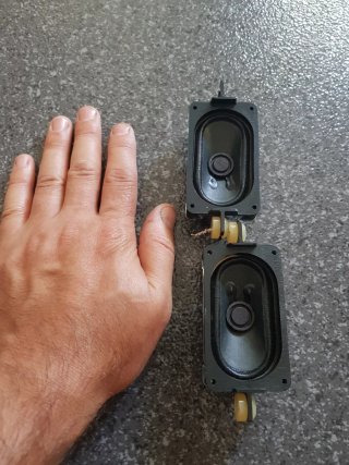 Pareja de altavoces  pequeños