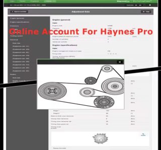 Cuenta Online Haynes Pro 1 año auto data
