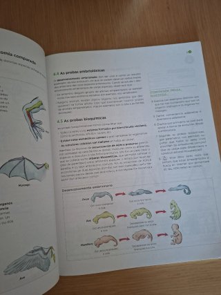 Bioloxía e Xeoloxía, 4 ESO, Galicia, Operación ...