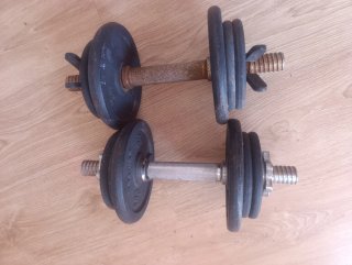 Mancuernas 16kg (par)