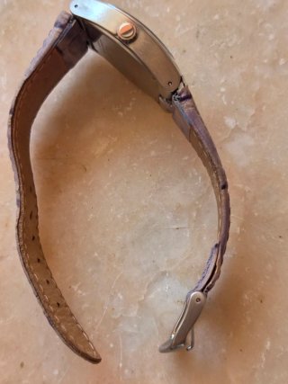 Philip Watch Orologio Donna Viola/Argento