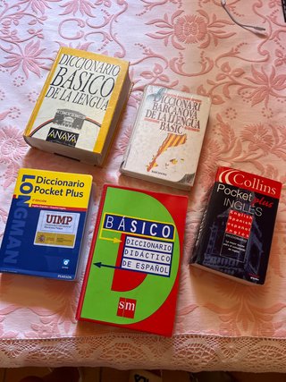 Diccionario básico de la lengua