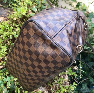 Louis Vuitton Neverfull MM Damier Ebene