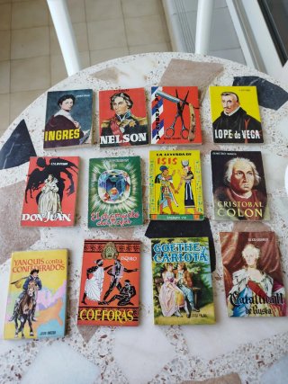 Lote 39 libros enciclopedia Pulga