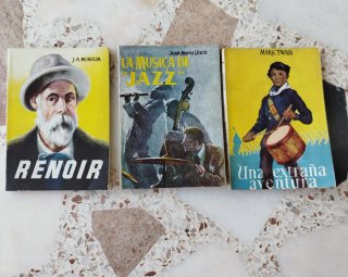Lote 39 libros enciclopedia Pulga