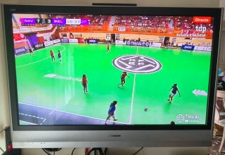 TV Plasma Panasonic 50 Negro/Plata