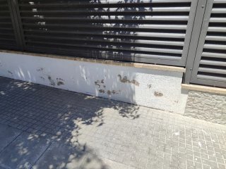 Paleta Economico y Calidad , Pladur y Eectricidad