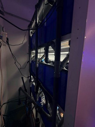 Batería de acuarios 3 niveles